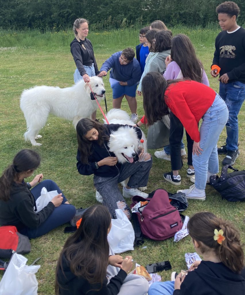 Voyage 6ème au Puy du Fou